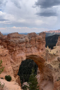 Window with a view - Bryce Canyon