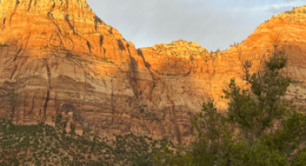 Things to Know Before You Go – Zion National Park Edition
