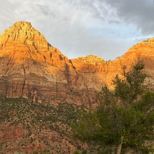 Things to Know Before You Go – Zion National Park Edition