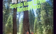 Big Trees, Small Cost - Sequoia Kings Canyon National Parks